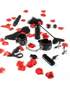 Lovetoy Starter Kit Vergnügungsset 2