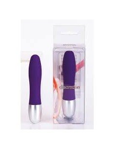 Discretion Mini Vibrator