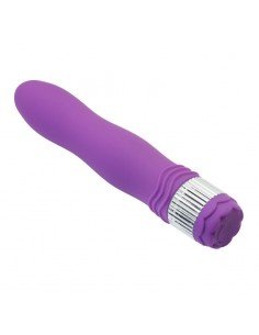 Toyz4Lovers Timeless Neon Mace Vibrator